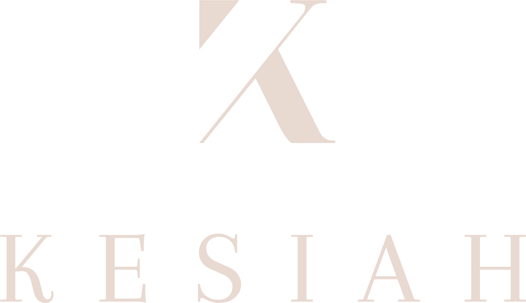 light logo